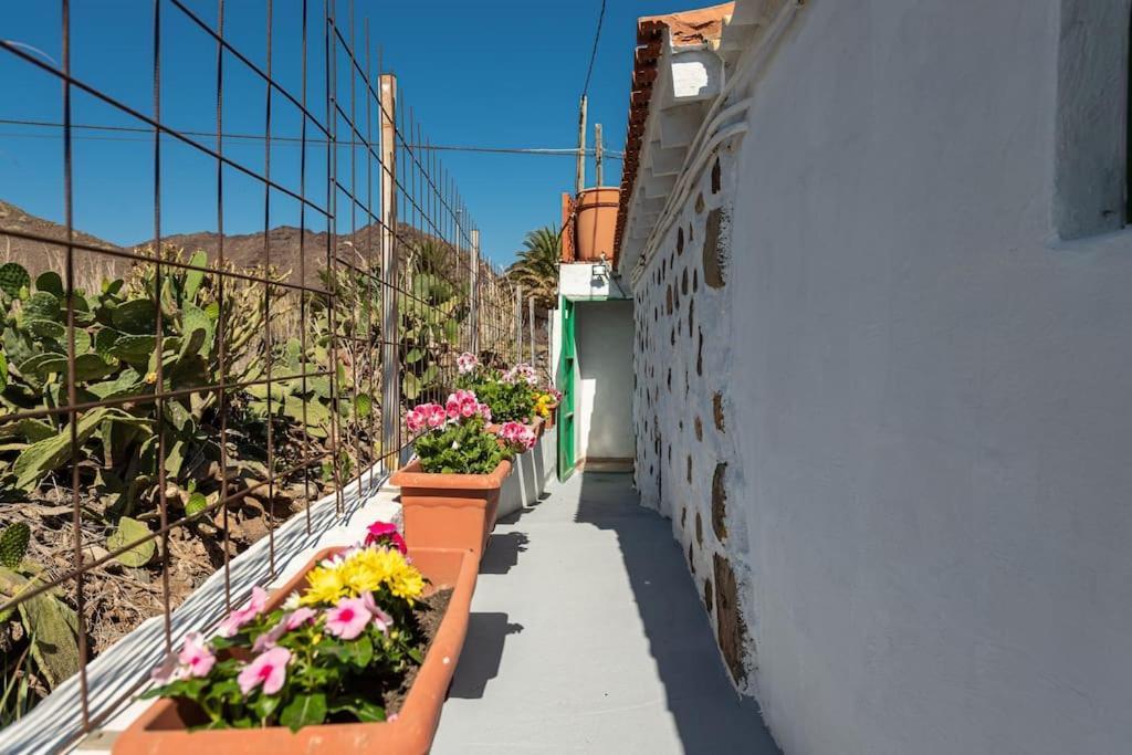 Vivienda Vacacional Ca' Pepita Y Jose El Albercon Buitenkant foto